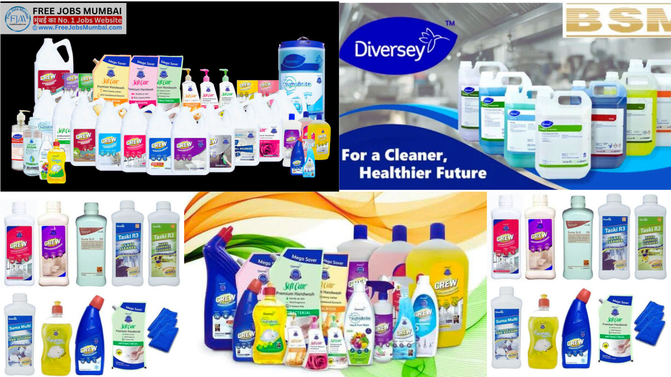 Job profile in Diversey Hygiene company