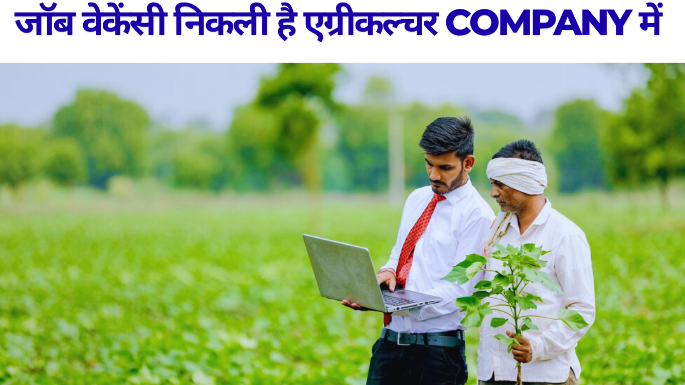 Job in Agriculture Company 
